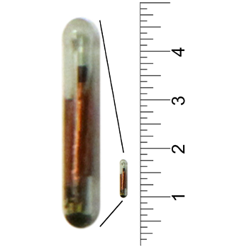 8mm Bio Glass ISO FDX-B Microchip "Less Waste" Cannula Packs - Image 2